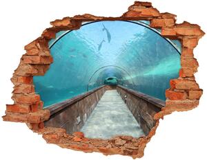 Fototapeta díra na zeď 3D Tunel akvárium nd-c-82197217