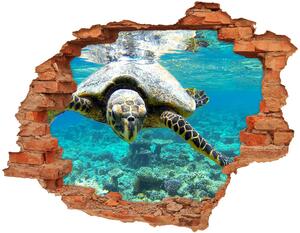 Díra 3D fototapeta nálepka Mořská želva nd-c-83762438