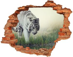 Díra 3D fototapeta nálepka Bílý tygr nd-c-84071201
