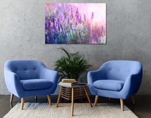 Obraz kouzelné květy levandule - 120x80 cm