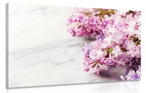 Obraz nádherné květiny na mramorovém podkladu - 120x80 cm