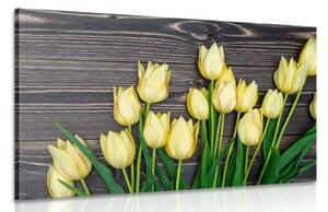Obraz očarující žluté tulipány na dřevěném podkladě - 60x40 cm