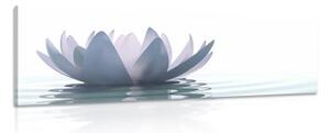 Obraz lotosový květ - 150x50 cm