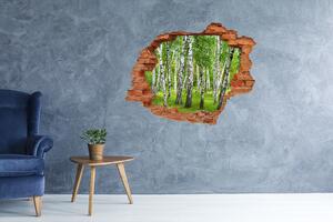 Nálepka fototapeta 3D výhled Břízový les nd-c-85613602