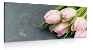 Obraz pastelově růžové tulipány - 100x50 cm