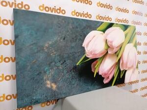Obraz pastelově růžové tulipány - 100x50 cm