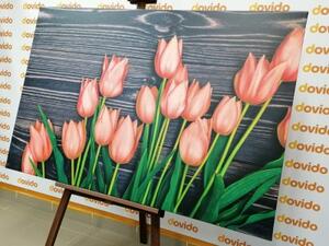 Obraz očarující oranžové tulipány na dřevěném podklade - 60x40 cm