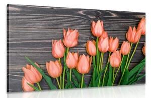 Obraz očarující oranžové tulipány na dřevěném podklade - 120x80 cm