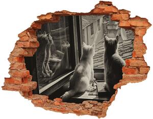 Díra 3D fototapeta nálepka Kočky u okna nd-c-86646592