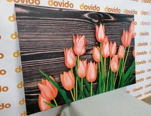 Obraz očarující oranžové tulipány na dřevěném podklade - 60x40 cm