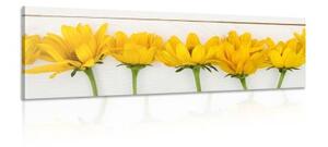 Obraz nádherné žluté květy - 120x40 cm