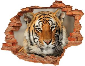 Díra 3D foto tapeta nálepka Bengálský tygr nd-c-88747131