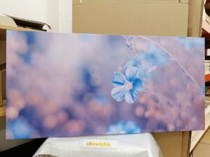 Obraz modré květy na vintage pozadí - 100x50 cm