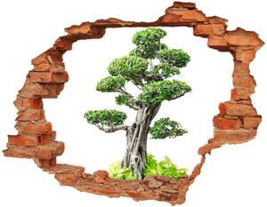 Samolepící díra na stěnu Strom bonsaj nd-c-88907159
