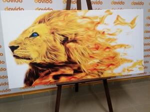 Obraz ohnivý lev - 100x50 cm