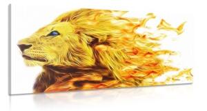 Obraz ohnivý lev - 100x50 cm