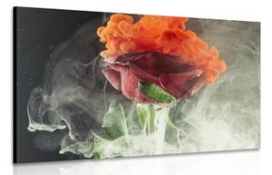 Obraz růže s abstraktními prvky - 120x80 cm