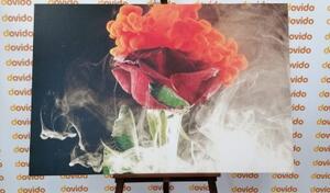 Obraz růže s abstraktními prvky - 60x40 cm