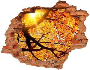 Samolepící díra na stěnu Koruna stromů podzim nd-c-89060594