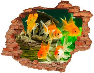 Díra 3D foto tapeta nálepka Zlaté rybičky nd-c-89540196