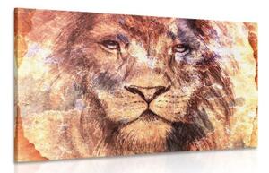 Obraz tvář lva - 60x40 cm