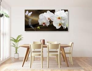 Obraz orchidej a motýl - 100x50 cm