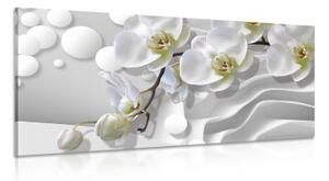 Obraz orchidej na abstraktním pozadí - 100x50 cm