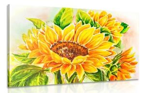 Obraz nádherná slunečnice - 90x60 cm