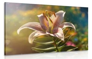 Obraz nádherný květ s retro nádechem - 60x40 cm