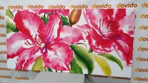 Obraz nádherné květy - 100x50 cm