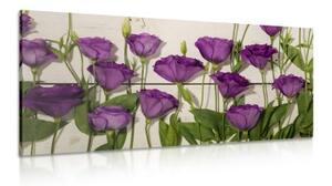 Obraz nádherné tmavě fialové květy - 100x50 cm
