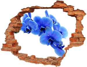 Samolepící díra nálepka Modrá orchidej nd-c-91549599