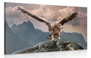 Obraz orel s roztaženými křídly nad horami - 90x60 cm