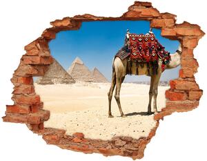 Fotoobraz díra na stěnu Velbloud Káhira nd-c-93235803