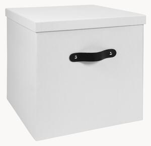 Skladovací box Texas