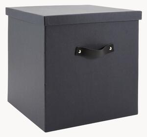 Skladovací box Texas