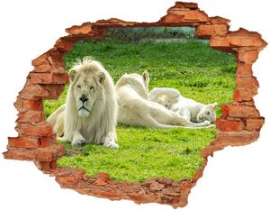 Samolepící díra nálepka Béžoví lvi nd-c-93716692