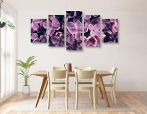 5-dílný obraz fialové květy šeříku - 100x50 cm