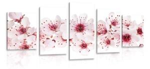 5-dílný obraz třešňové květy - 100x50 cm