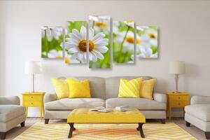 5-dílný obraz jarní louka plná květin - 100x50 cm