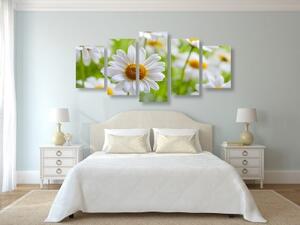 5-dílný obraz jarní louka plná květin - 100x50 cm