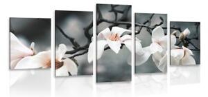 5-dílný obraz probouzející se magnolie - 100x50 cm