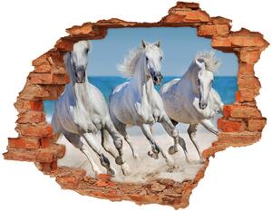Nálepka fototapeta 3D Bílí koně pláž nd-c-95257914