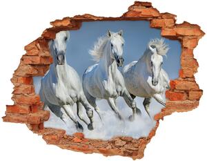 Fototapeta díra na zeď Koně ve cvalu nd-c-95257907
