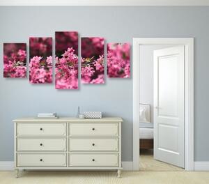 5-dílný obraz detailní květiny třešně - 100x50 cm