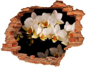 Nálepka fototapeta 3D výhled Orchidej nd-c-95410450