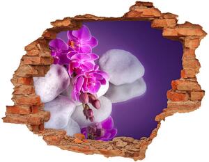 Fotoobraz díra na stěnu Orchidej nd-c-95985496
