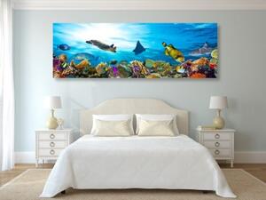 Obraz korálový útes s rybkami a želvami - 150x50 cm