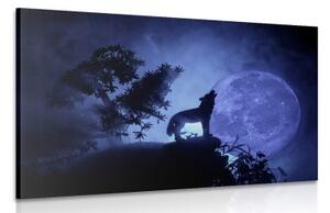 Obraz vlk v úplňku měsíce - 60x40 cm