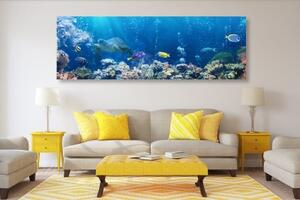 Obraz tropické rybky - 120x40 cm